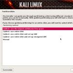So installieren Sie Kali Linux als Haupt- oder Zweitbetriebssystem. Manuelle Partitionierungsmethode
