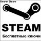 What is a key in Steam and how to activate a game on Steam How to activate a key in the mobile version of Steam